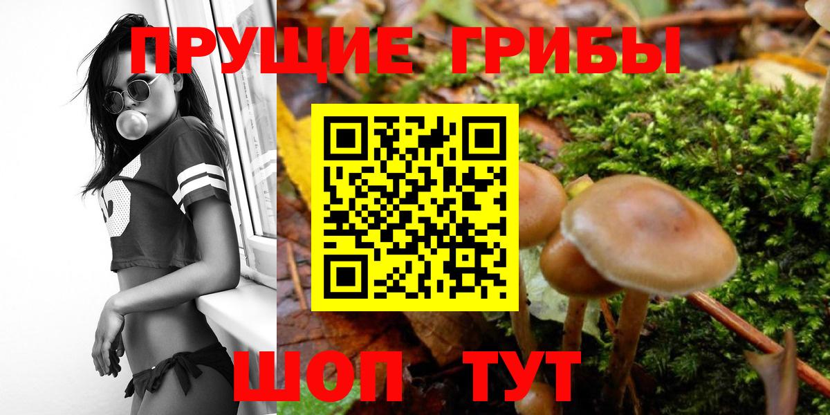 Галлюциногенные грибы мицелий Сунжа