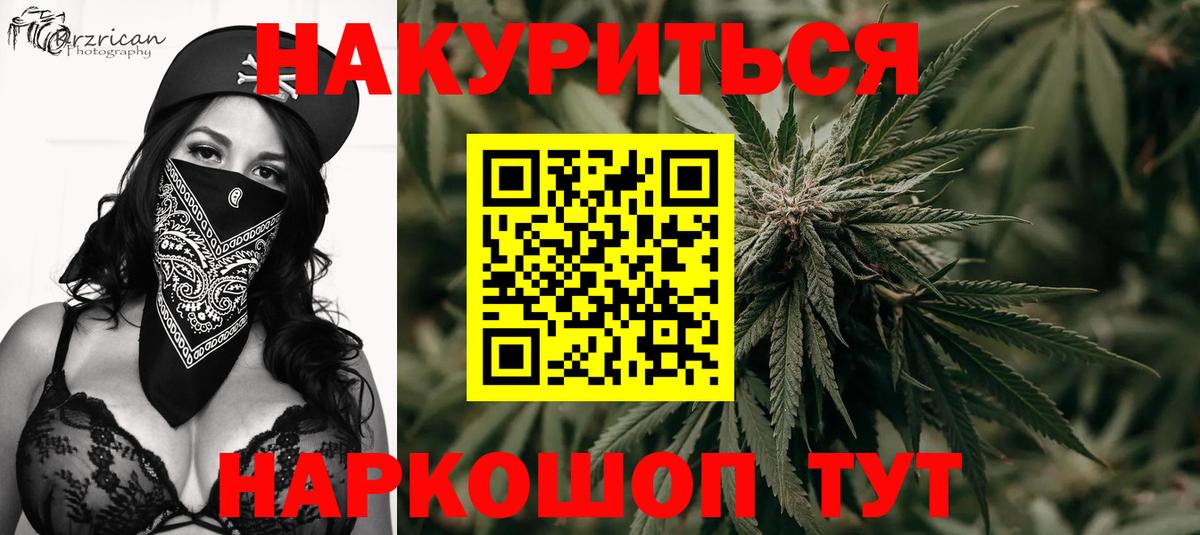 Шишки марихуана гибрид Сунжа